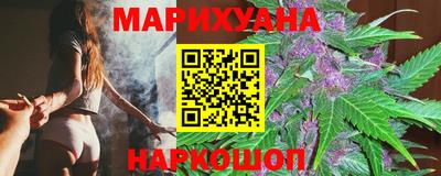 сатива Краснознаменск