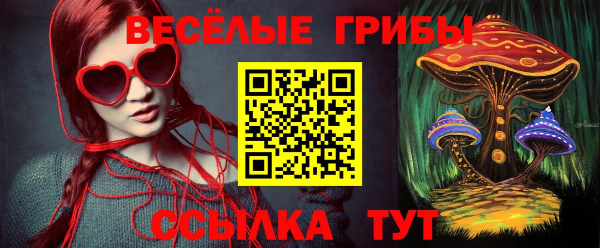 Псилоцибиновые грибы MAGIC MUSHROOMS Кашира